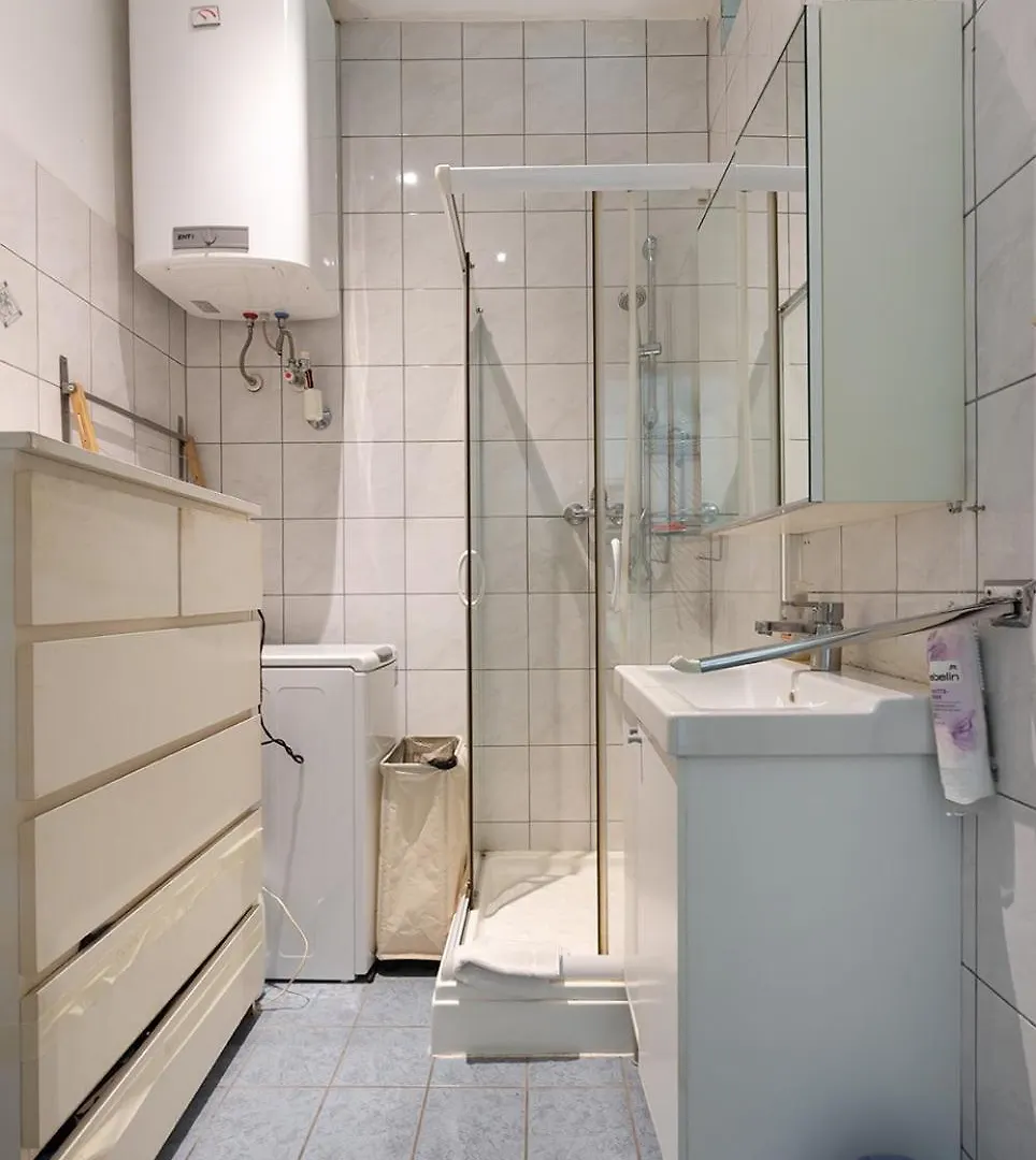 Gruen, Ruhig Und Zentral, Grosses Apartment Mit Gruenblick 비엔나